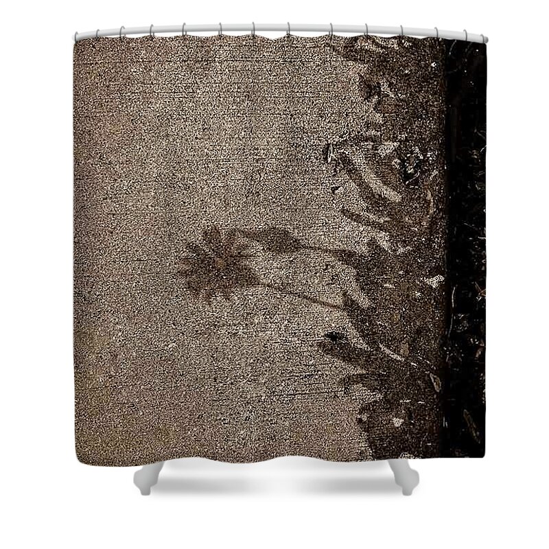Natural Theme Shower Curtain featuring the photograph Shadow No.38 by Fei A
