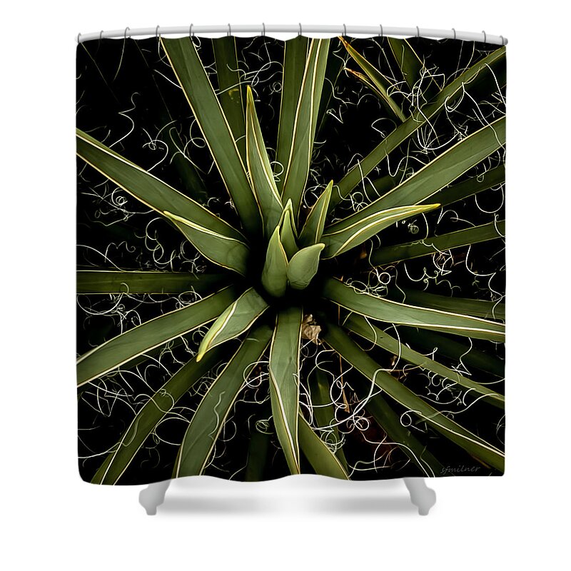 Yucca Shower Curtain featuring the photograph Sharp Points - Yucca Plant by Steven Milner