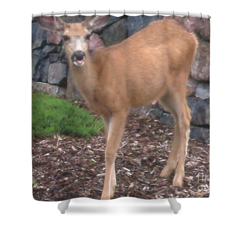 Shower Curtain featuring the photograph She Stuck her tongue out at me by Kelly Awad