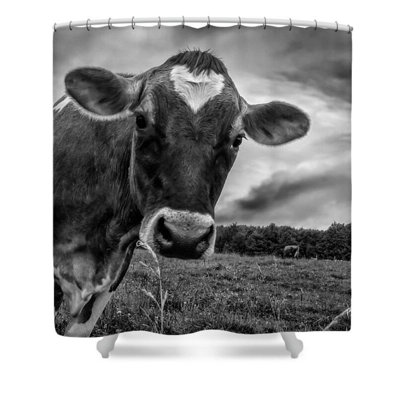 Cows Shower Curtain featuring the photograph She wears her heart for all to see by Bob Orsillo