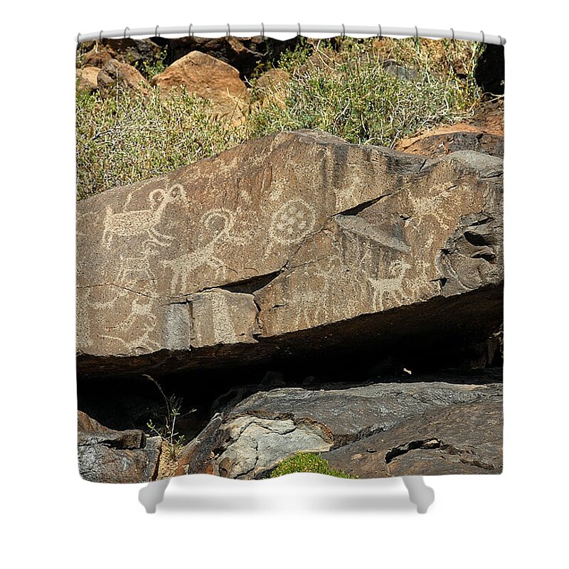 Petroglyph Shower Curtain featuring the photograph Sheep collection petroglyph by John Bennett