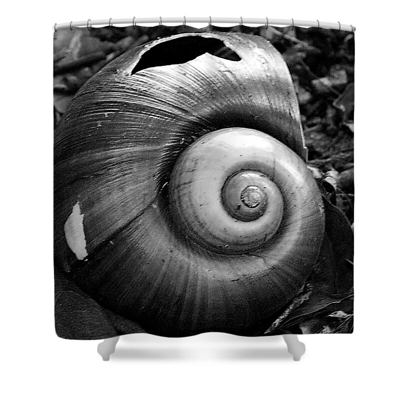 Shell Shower Curtain featuring the photograph Shell by Chauncy Holmes