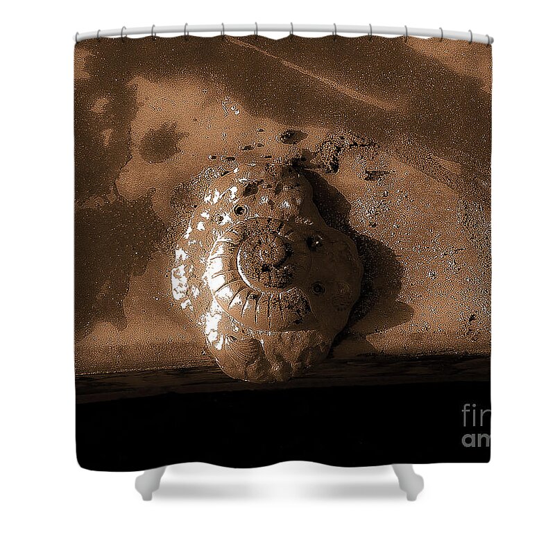 Shell Shower Curtain featuring the photograph Shell No.4 Effect by Fei A