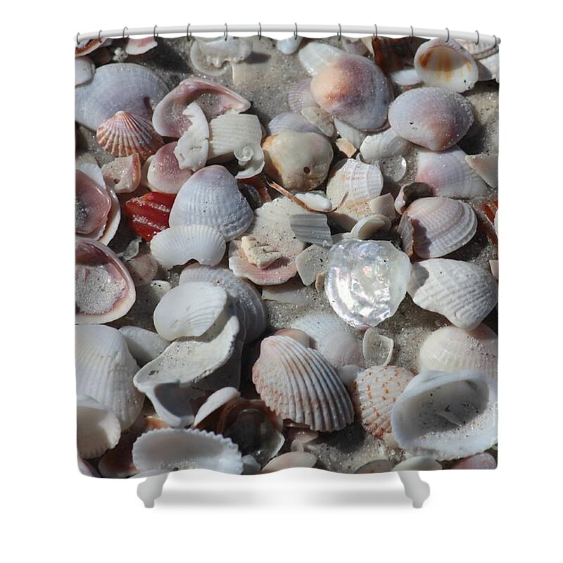 Shells Shower Curtain featuring the photograph Shells on Treasure Island by Carol Groenen