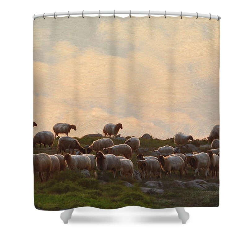 Sheep Art Shower Curtain featuring the painting Shepherd With Sheep by Constance Woods