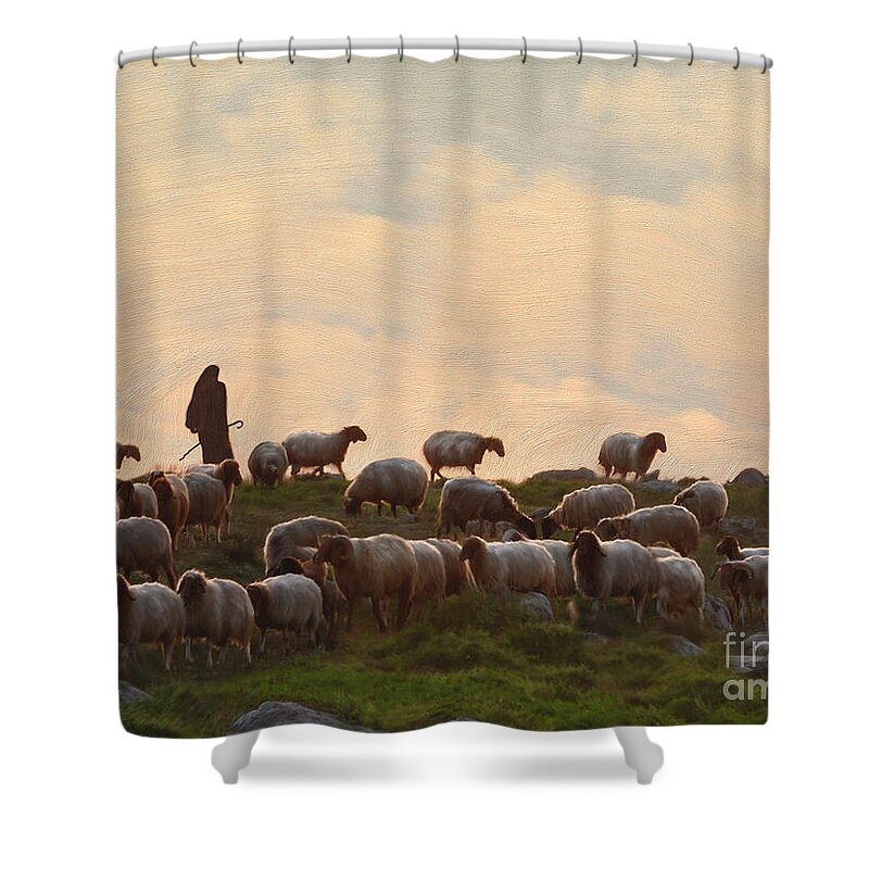 Sheep Art Shower Curtain featuring the painting Shepherd With Sheep standard size by Constance Woods