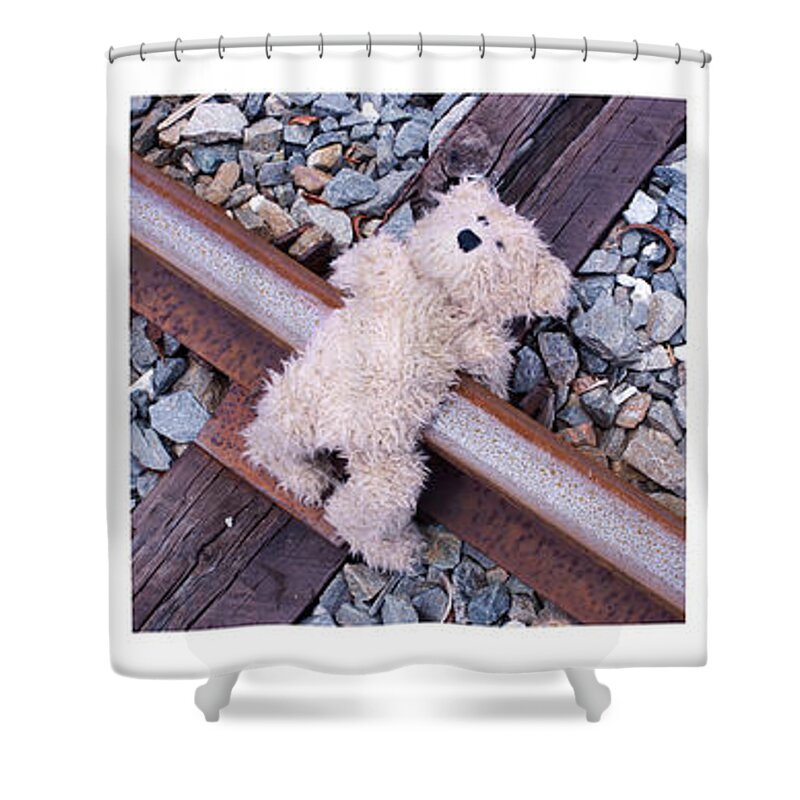 Bear Shower Curtain featuring the photograph She's Gone by William Patrick