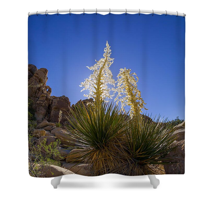 Flower Shower Curtain featuring the photograph Shields by Scott Campbell