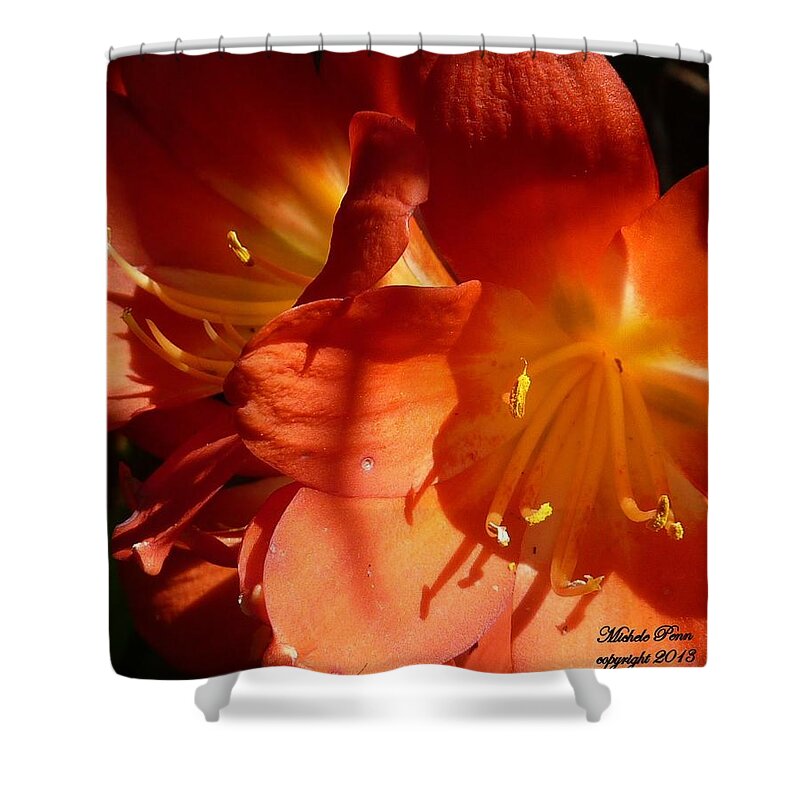 Flower Photograph Shower Curtain featuring the photograph Shining Star by Michele Penn