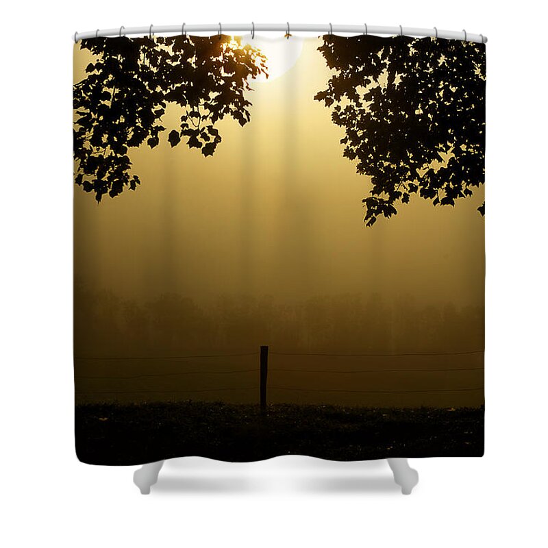 Cades Cove Shower Curtain featuring the photograph Shining Through The Fog by Michael Eingle