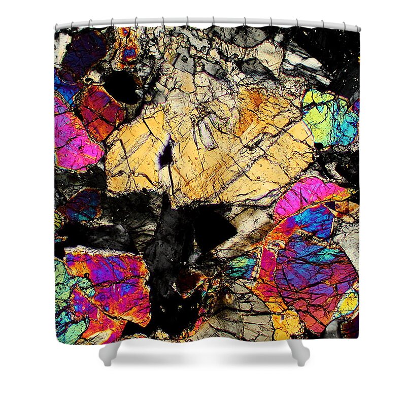 Meteorites Shower Curtain featuring the photograph Shroomin On The Moon by Hodges Jeffery