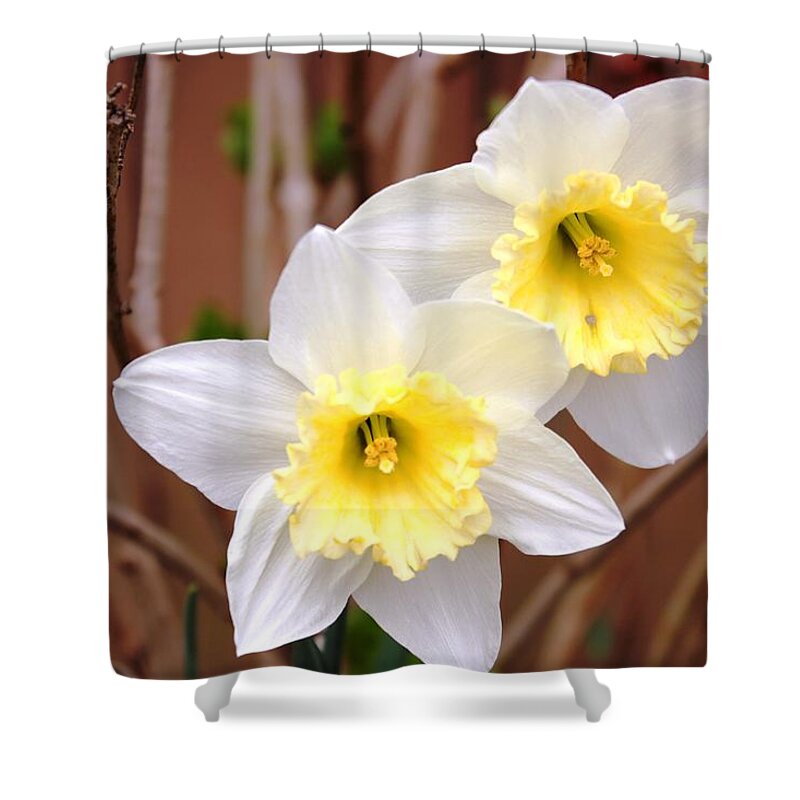 Flowers Shower Curtain featuring the photograph Sign of Spring by Judy Palkimas