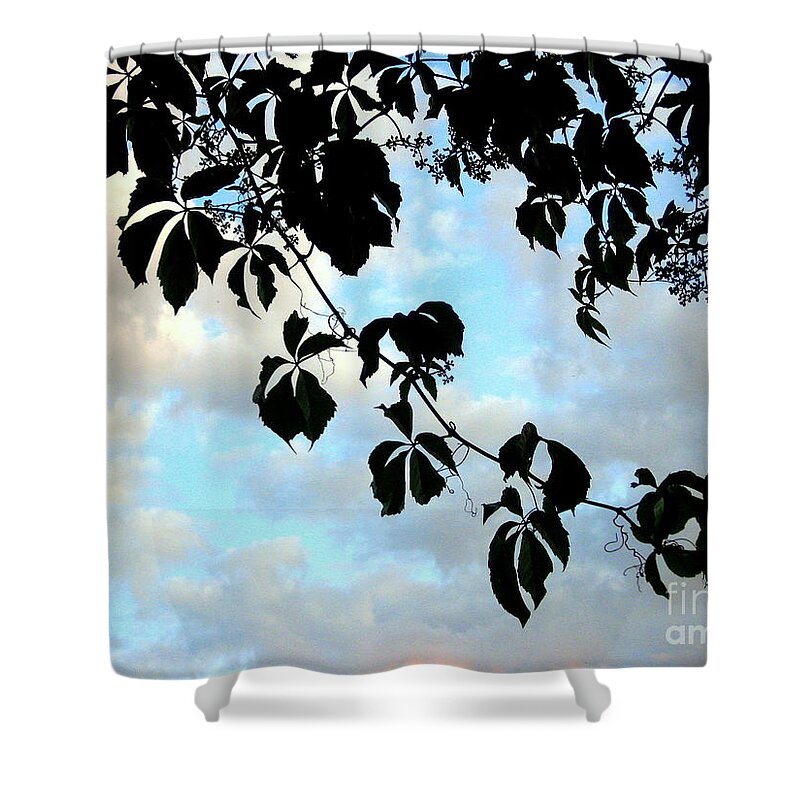 Silhouette Shower Curtain featuring the photograph Silhouette by Kathy Bassett