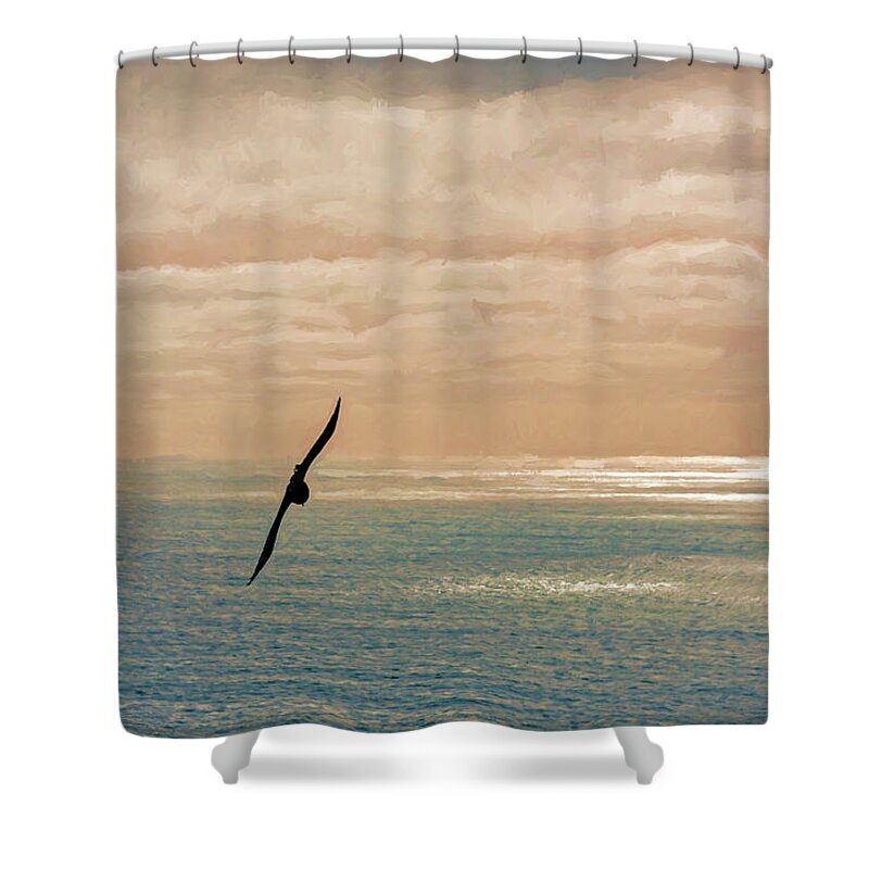 Photography Shower Curtain featuring the photograph Silhouette Of Two Seagulls In Flight by Panoramic Images