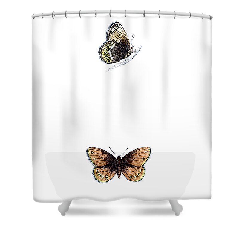 Engraving Shower Curtain featuring the photograph Silver Bordered Ringlet - Hand Coloured by Andrew howe