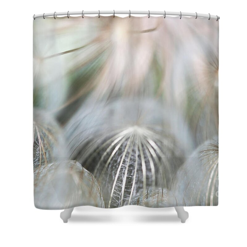 Wildflowers Shower Curtain featuring the photograph Silver Fire by Gwen Gibson