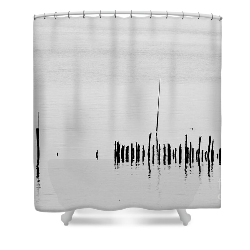 Heiko Shower Curtain featuring the photograph Silver Pond and Poles by Heiko Koehrer-Wagner