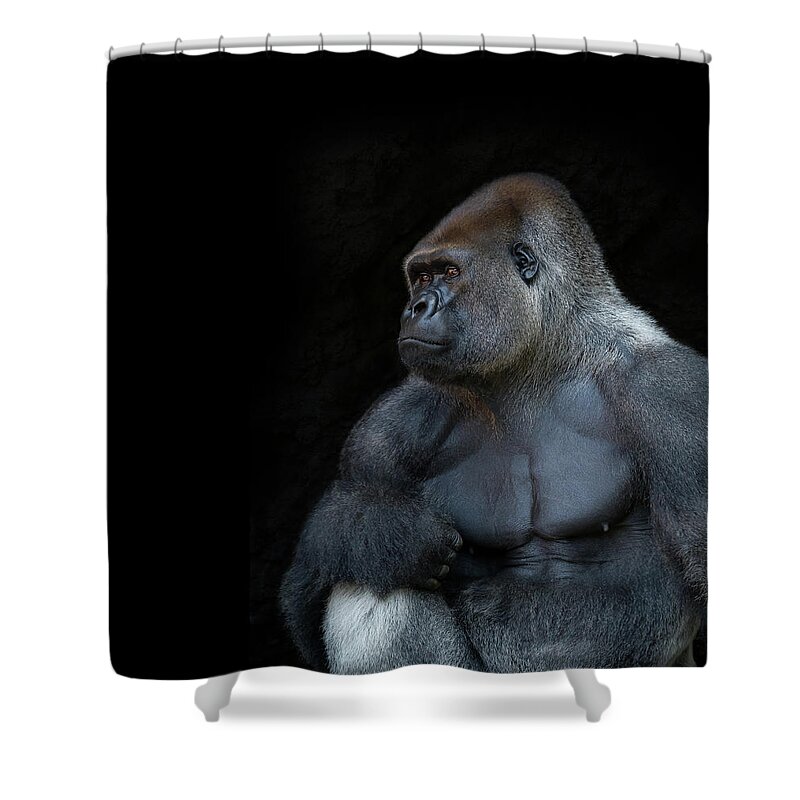 Animal Themes Shower Curtain featuring the photograph Silverback Gorilla Portrait In Profile by Haydn Bartlett Photography