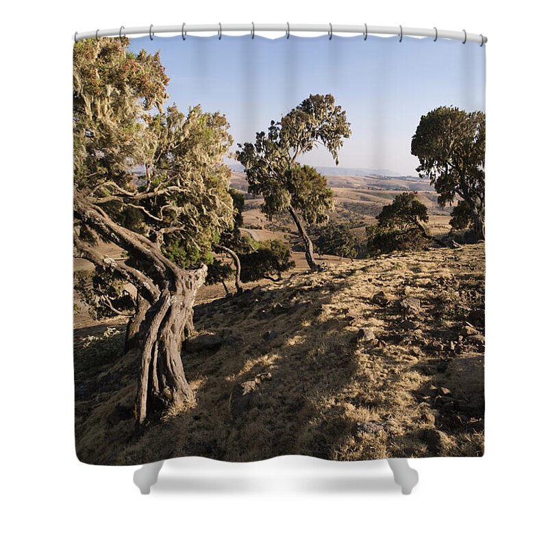 Tranquility Shower Curtain featuring the photograph Simien Escarpment Landscape From Simien by John Elk