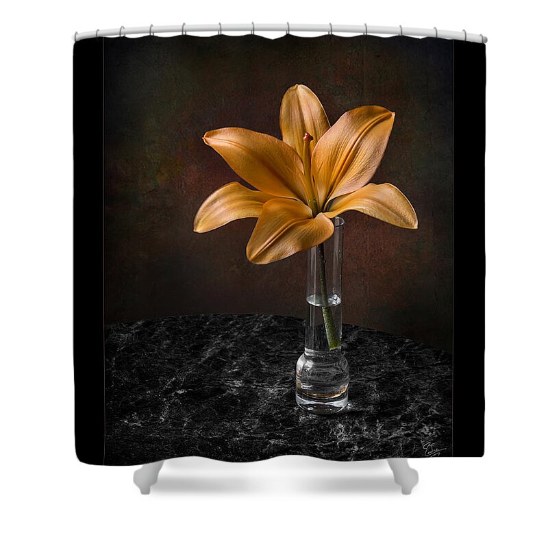 Flower Shower Curtain featuring the photograph Single Asiatic Lily in Vase by Endre Balogh