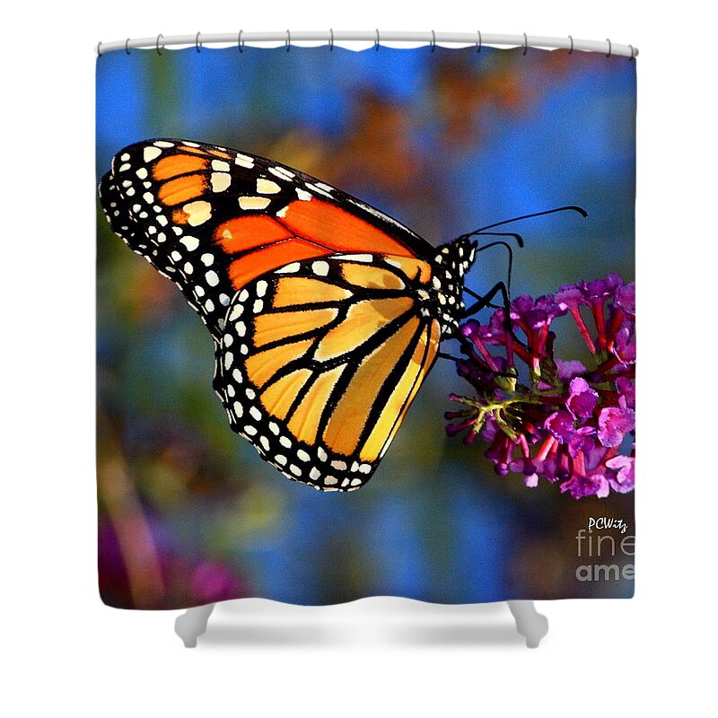 Sipping Shower Curtain featuring the photograph Sipping Monarch by Patrick Witz