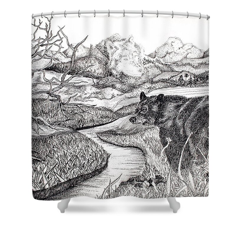 Spirit Wolf Shower Curtain featuring the drawing Sisters by Yolanda Raker