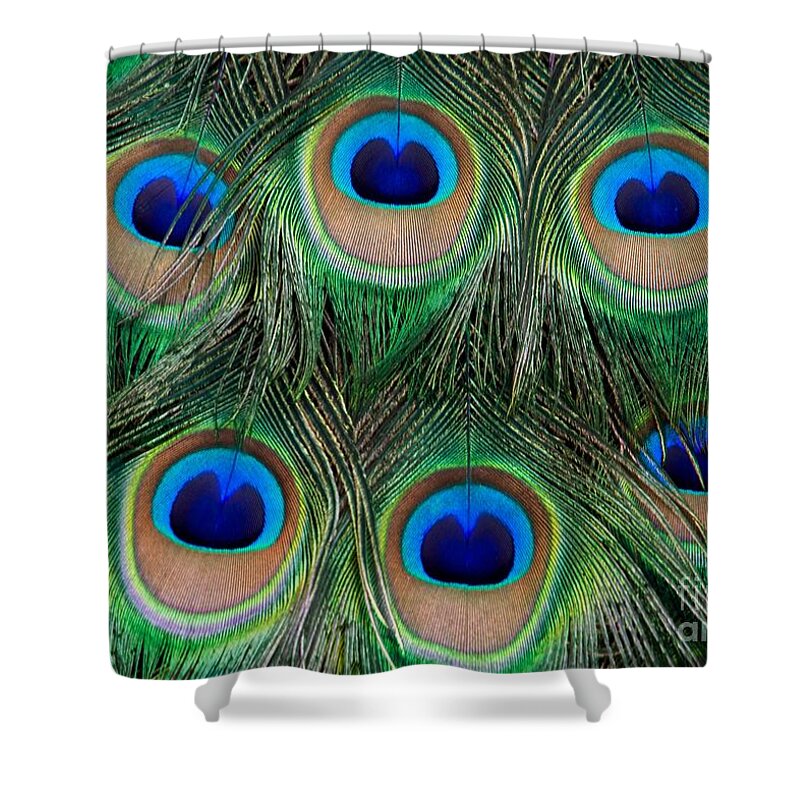 Peacock Shower Curtain featuring the photograph Six Eyes by Sabrina L Ryan