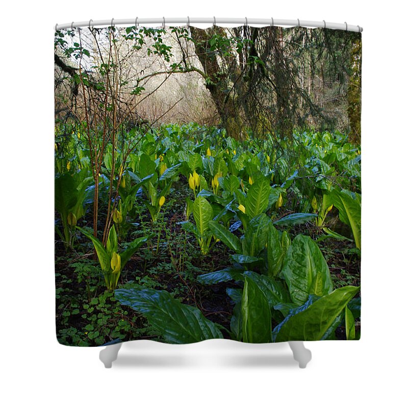 Skunkcabbage Shower Curtain featuring the photograph Skunk Cabbages by Adria Trail