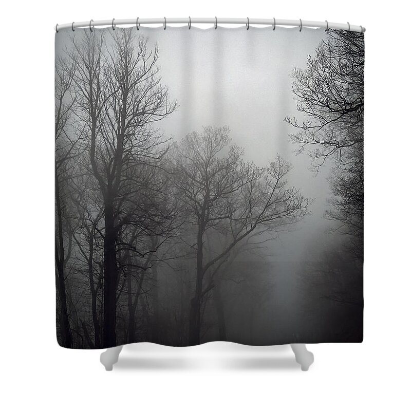 Skyline Drive Fog Shower Curtain featuring the photograph Skyline Drive in Fog by Greg Reed