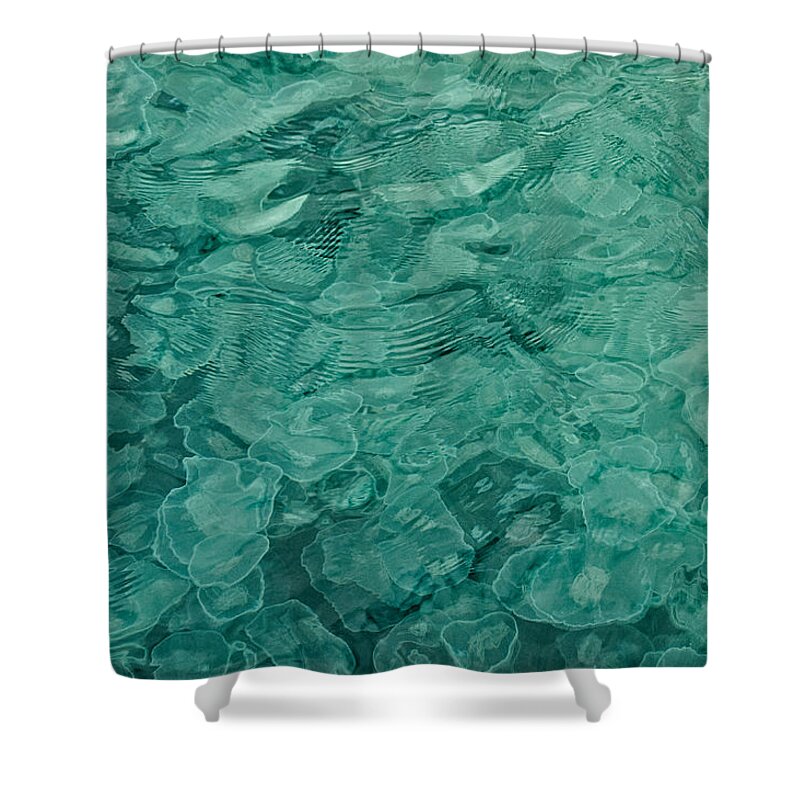 Alaska Shower Curtain featuring the photograph Smack of Jellyfish by George Buxbaum