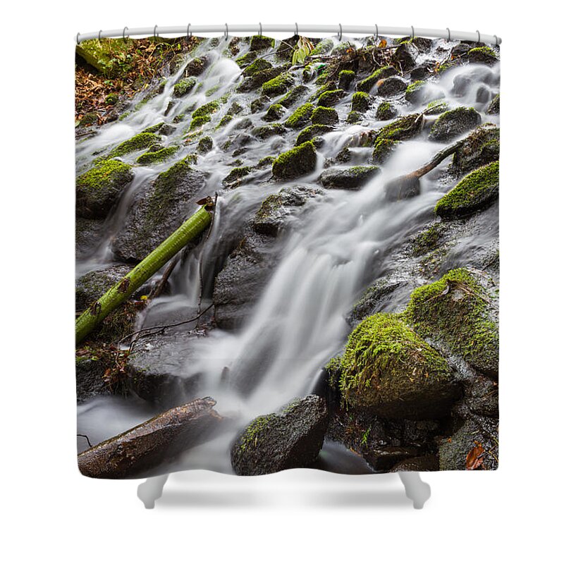 Dublin Shower Curtain featuring the photograph Small Waterfalls in Marlay Park by Semmick Photo