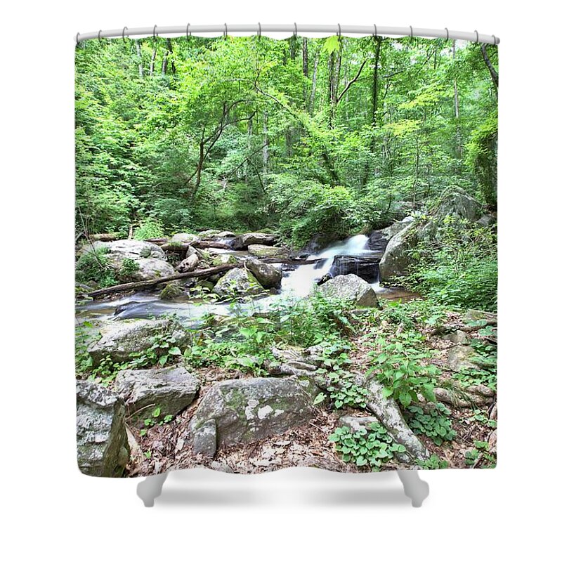 8799 Shower Curtain featuring the photograph Smith Creek Downstream of Anna Ruby Falls - 2 by Gordon Elwell
