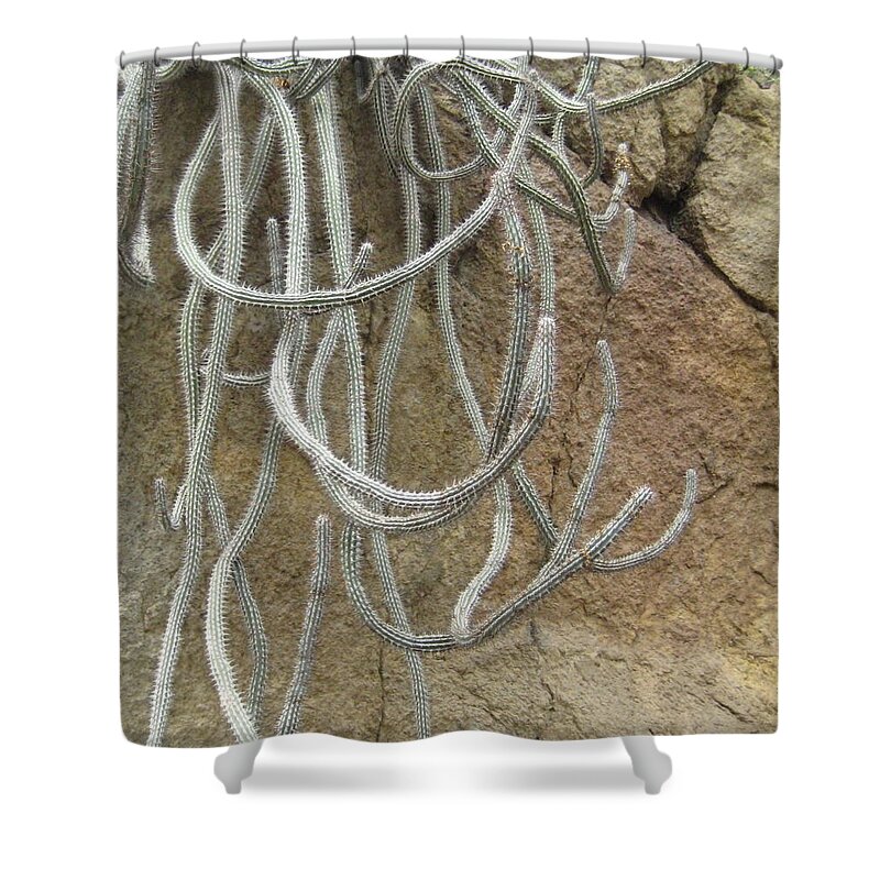 Nature Shower Curtain featuring the photograph Snaking Cacti by Melissa McCrann