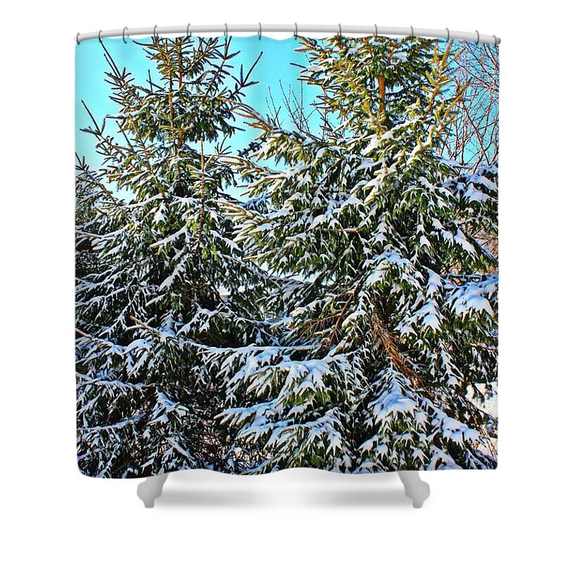 Pine Trees Shower Curtain featuring the photograph Snow Covered Pines by Judy Palkimas