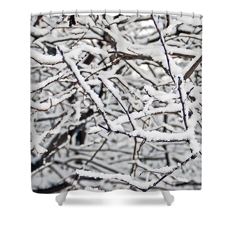 Landscape Shower Curtain featuring the photograph Snow Filled Branches 2 by Aimee L Maher ALM GALLERY