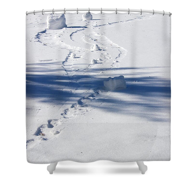 Winter Shower Curtain featuring the photograph Snow Rollers by Karen Adams