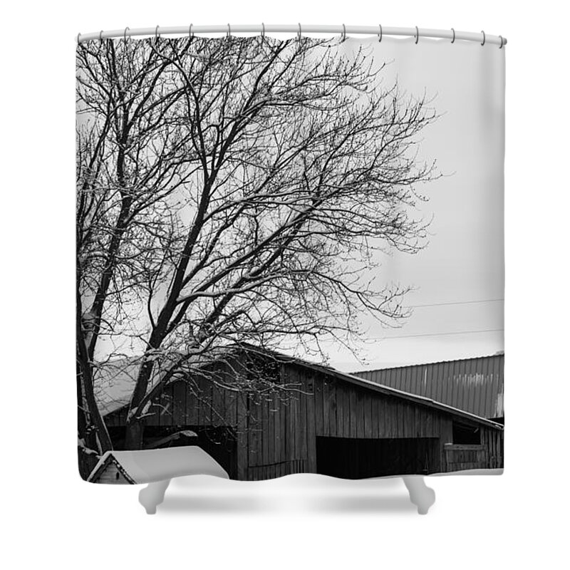 Snow Shower Curtain featuring the photograph Snow Scene by Holden The Moment