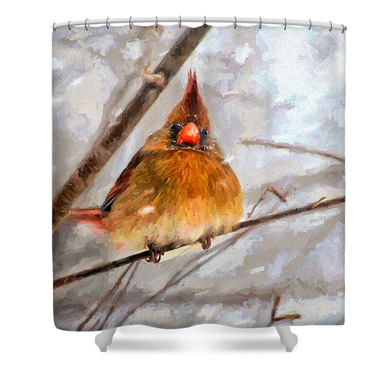 Bird Shower Curtain featuring the digital art Snow Surprise - Painterly by Lois Bryan