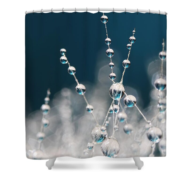 Cactus Shower Curtain featuring the photograph Snow White and Ice Blue by Sharon Johnstone