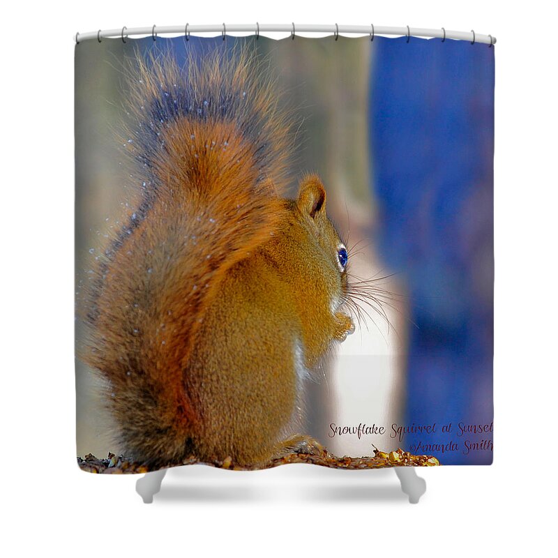 Squirrel Shower Curtain featuring the photograph Snowflake Squirrel at Sunset by Amanda Smith