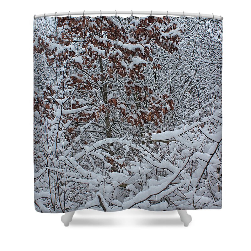 Snow Shower Curtain featuring the photograph Snowy Forest 12 by Mary Bedy