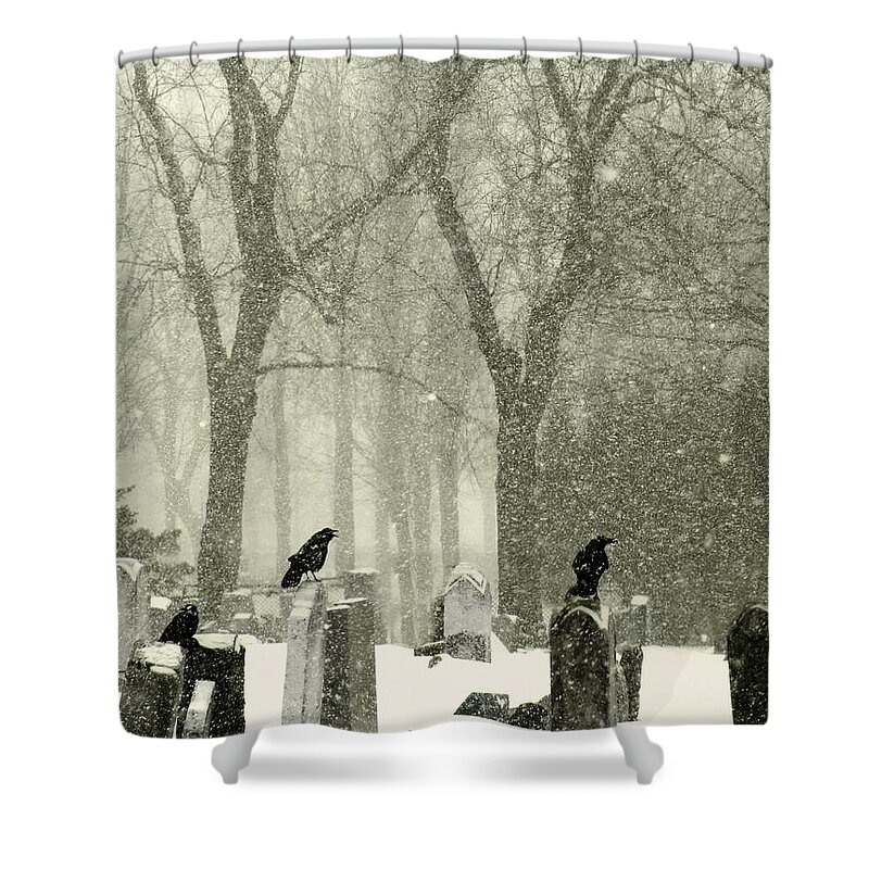Birds In Graveyard Shower Curtains