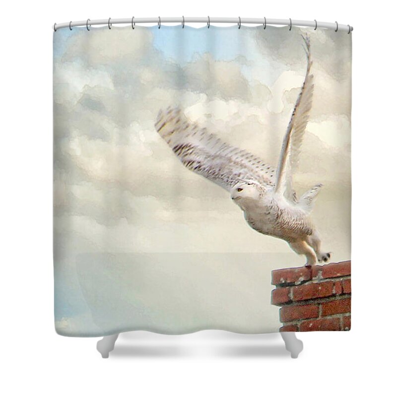 Audubon Shower Curtain featuring the photograph Snowy Owl in Flight by Karen Lynch