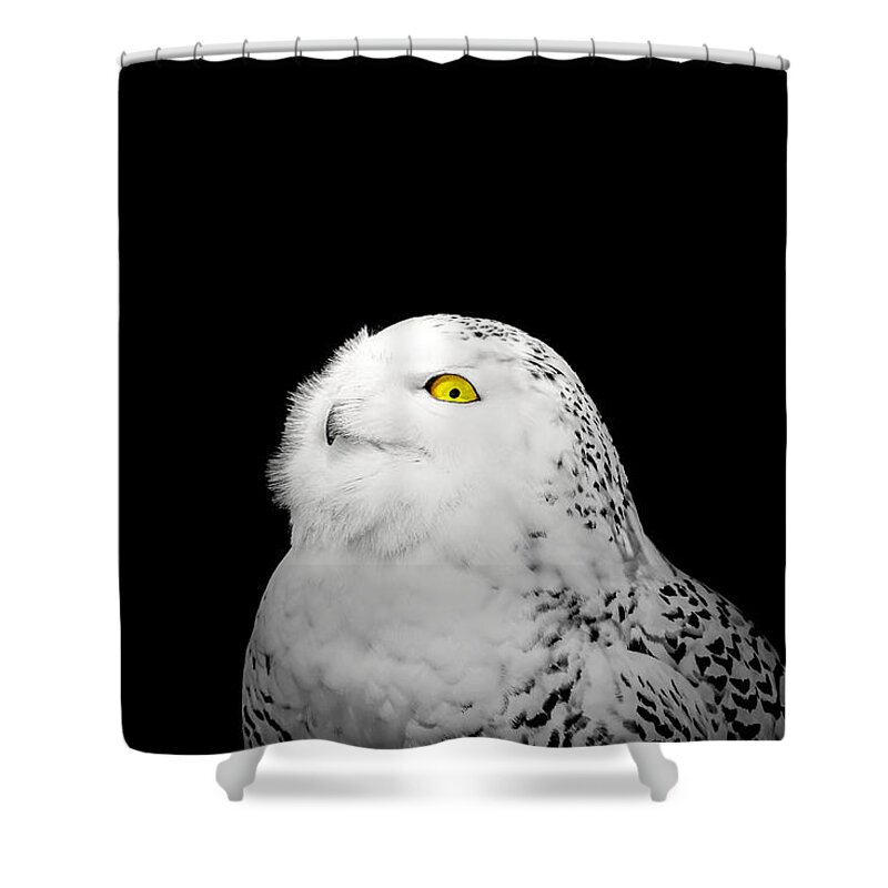 Animal Shower Curtain featuring the photograph Snowy Owl by Peter Lakomy