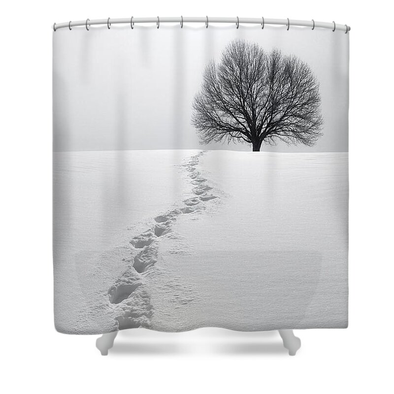 Tree Shower Curtain featuring the photograph Snowy Path by Diane Diederich