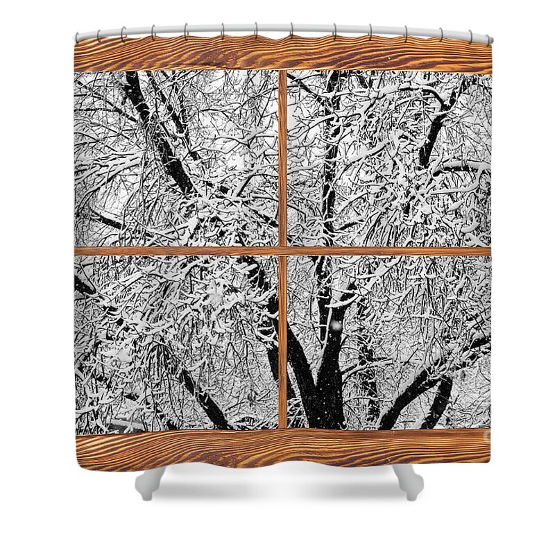 Windows Shower Curtain featuring the photograph Snowy Tree Branches Barn Wood Picture Window Frame View by James BO Insogna