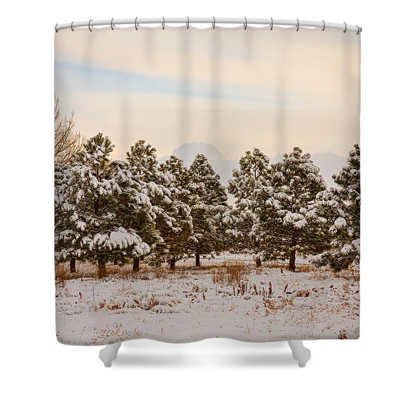 Snow Shower Curtain featuring the photograph Snowy Winter Pine Trees by James BO Insogna