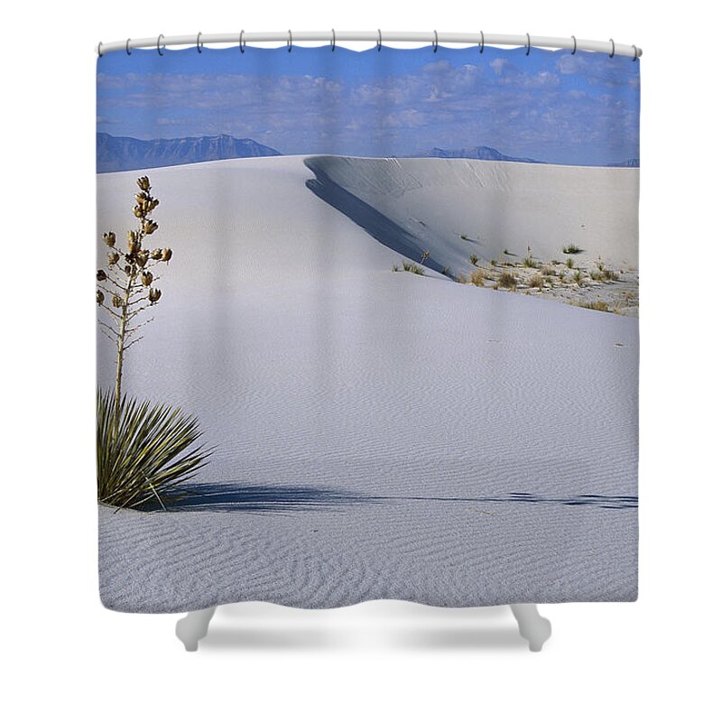 00198313 Shower Curtain featuring the photograph Soaptree Yucca at White Sands NM by Konrad Wothe