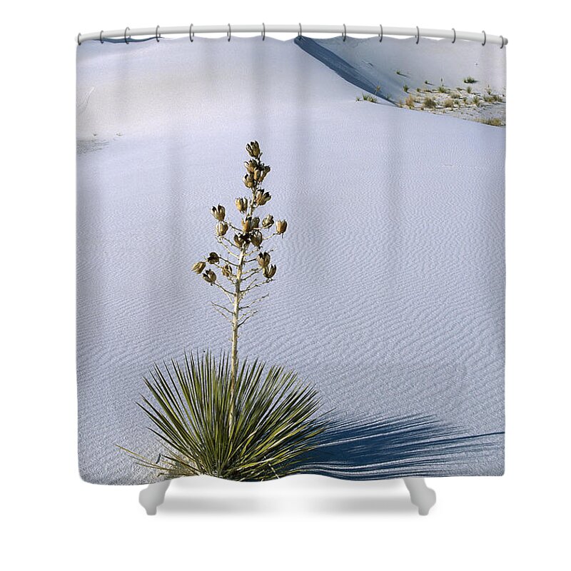 Feb0514 Shower Curtain featuring the photograph Soaptree Yucca In Gypsum Sand White by Konrad Wothe