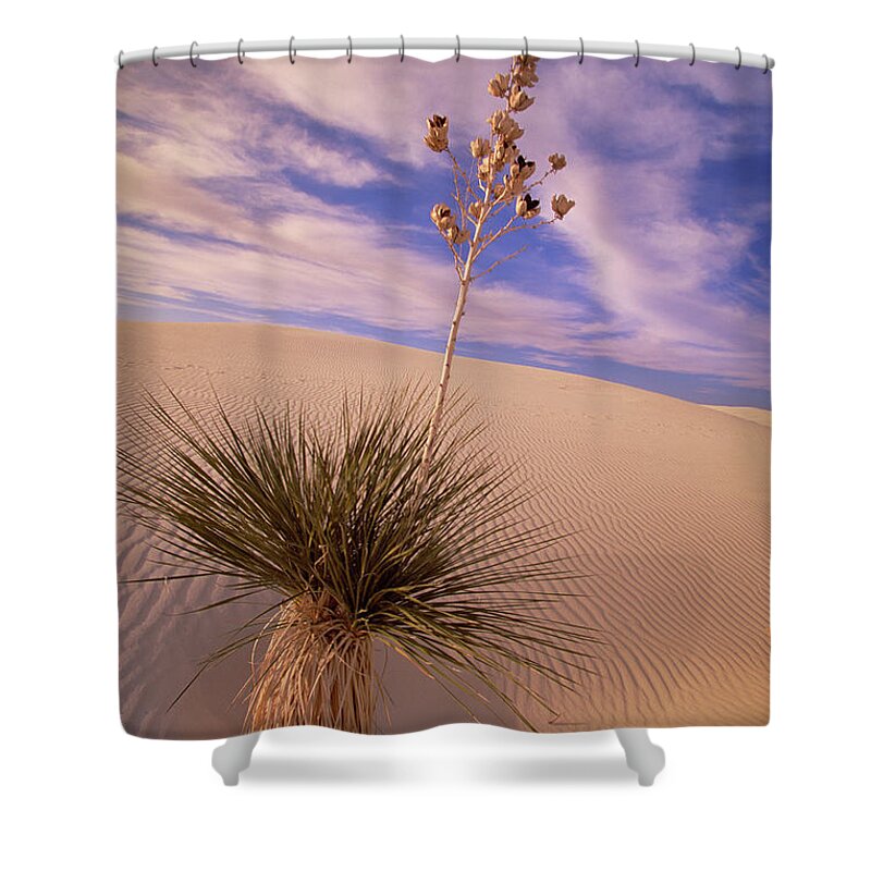 00341457 Shower Curtain featuring the photograph Soaptree Yucca On Dune by Yva Momatiuk and John Eastcott
